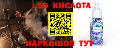 СК Шахты