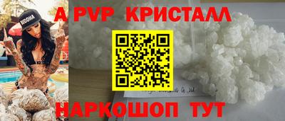 СК Шахты