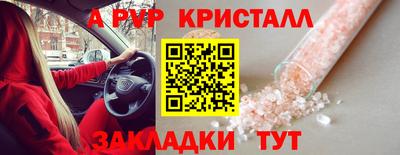 СК Шахты