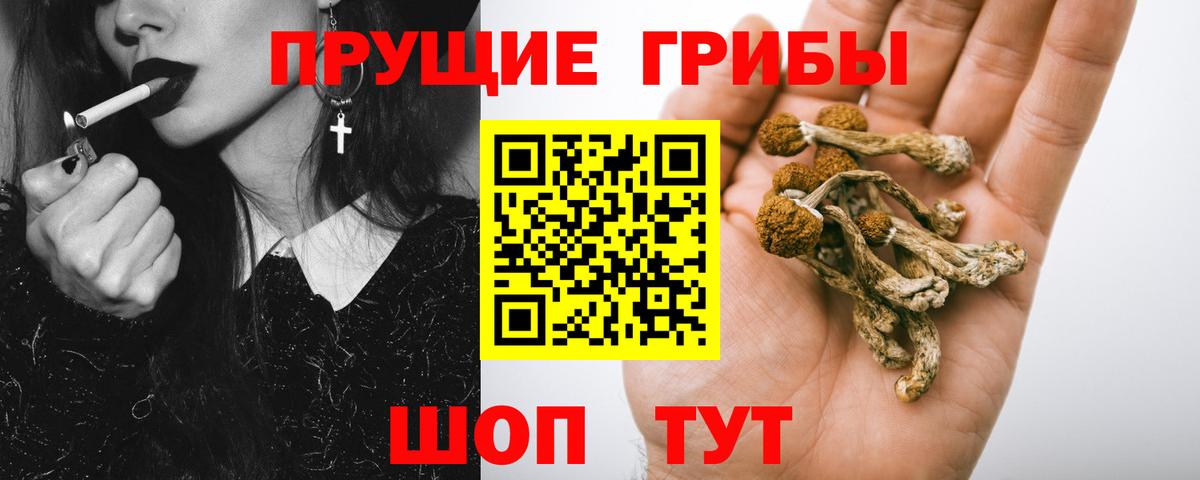Комсомольск-на-Амуре  Галлюциногенные грибы MAGIC MUSHROOMS  Вход с VPN 